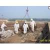 Abatement project photo 07